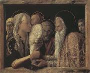 Andrea Mantegna The Presentaion in the Temple oil on canvas